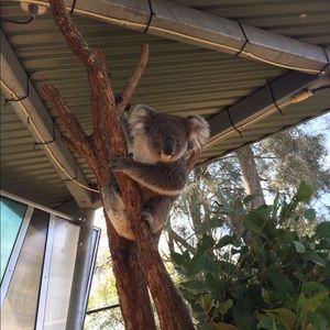 Meet your Posher, Crumb